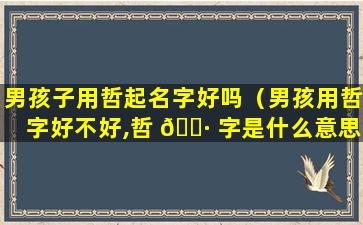 男孩子用哲起名字好吗（男孩用哲字好不好,哲 🌷 字是什么意思）